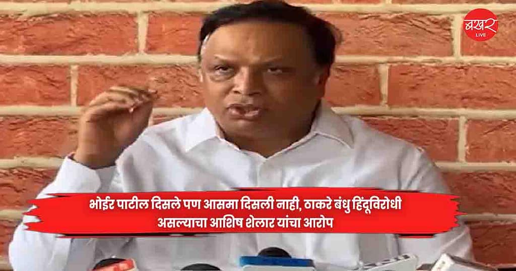 Ashish Shelar