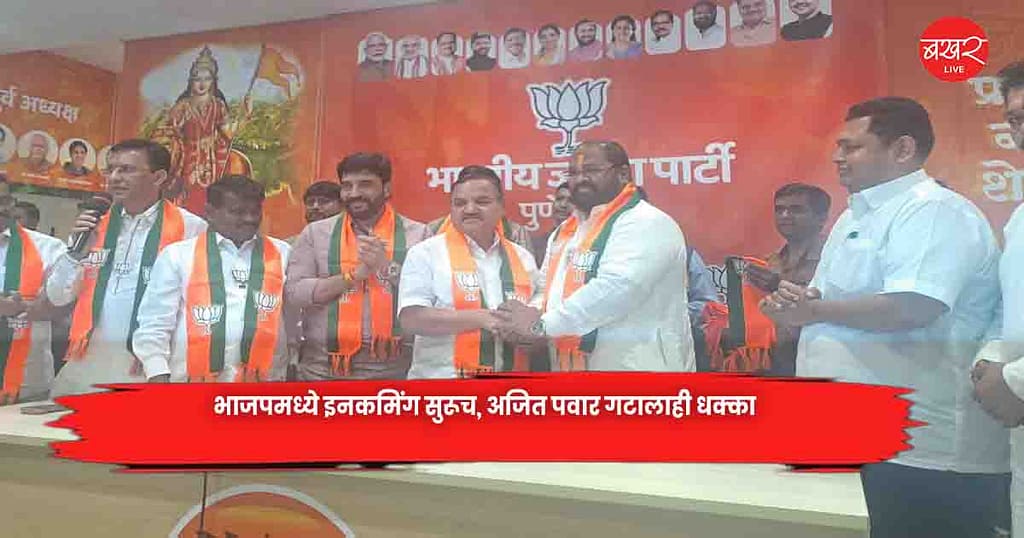 BJP Sees