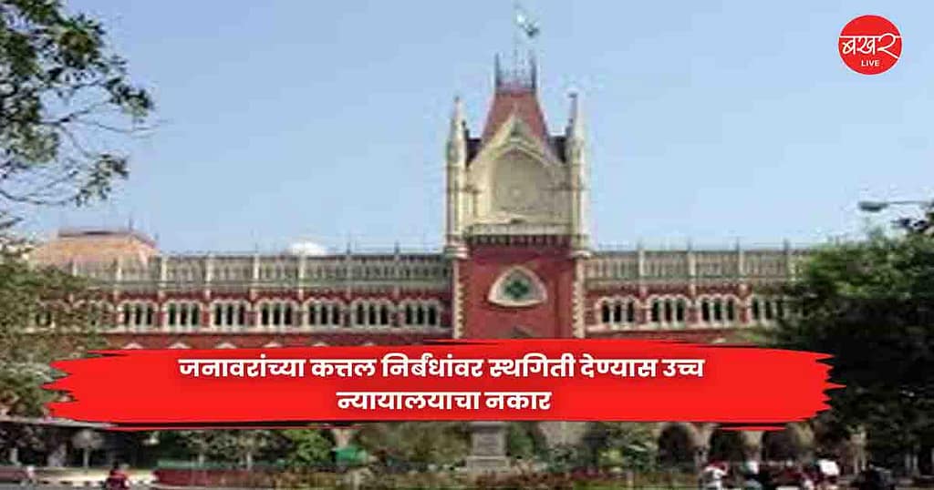 High Court