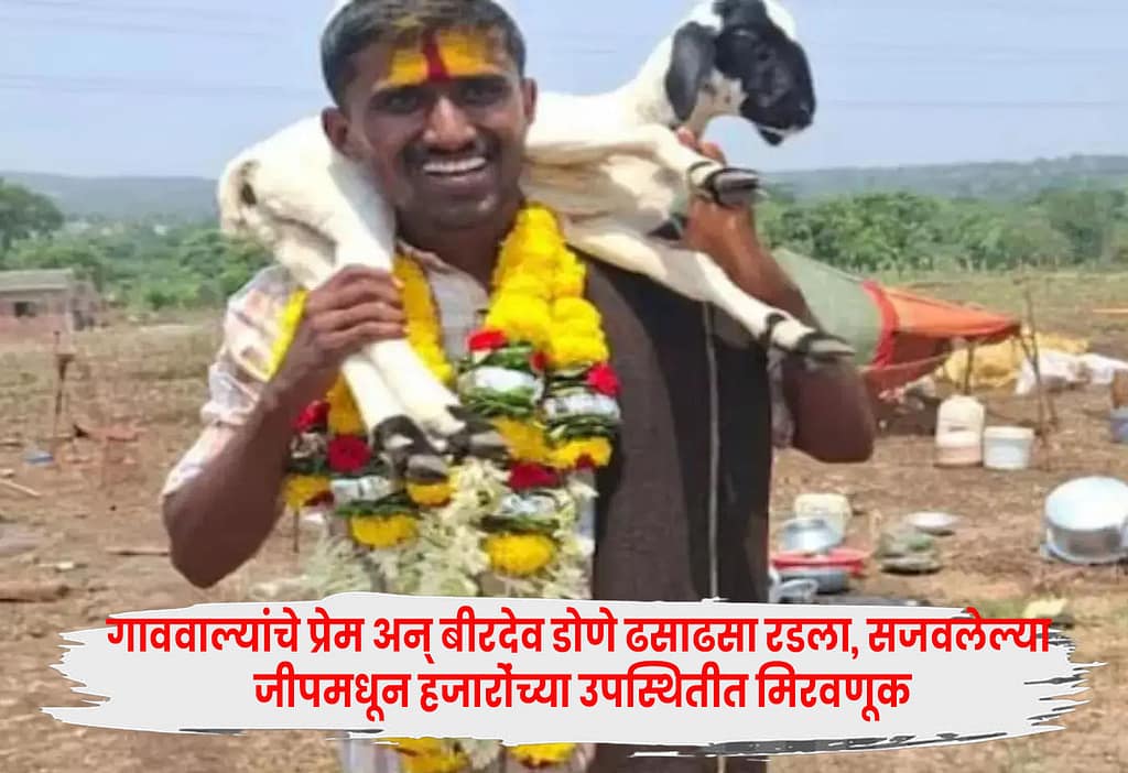 Birdev Done