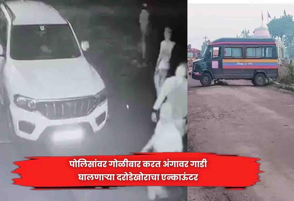 Encounter of Robber