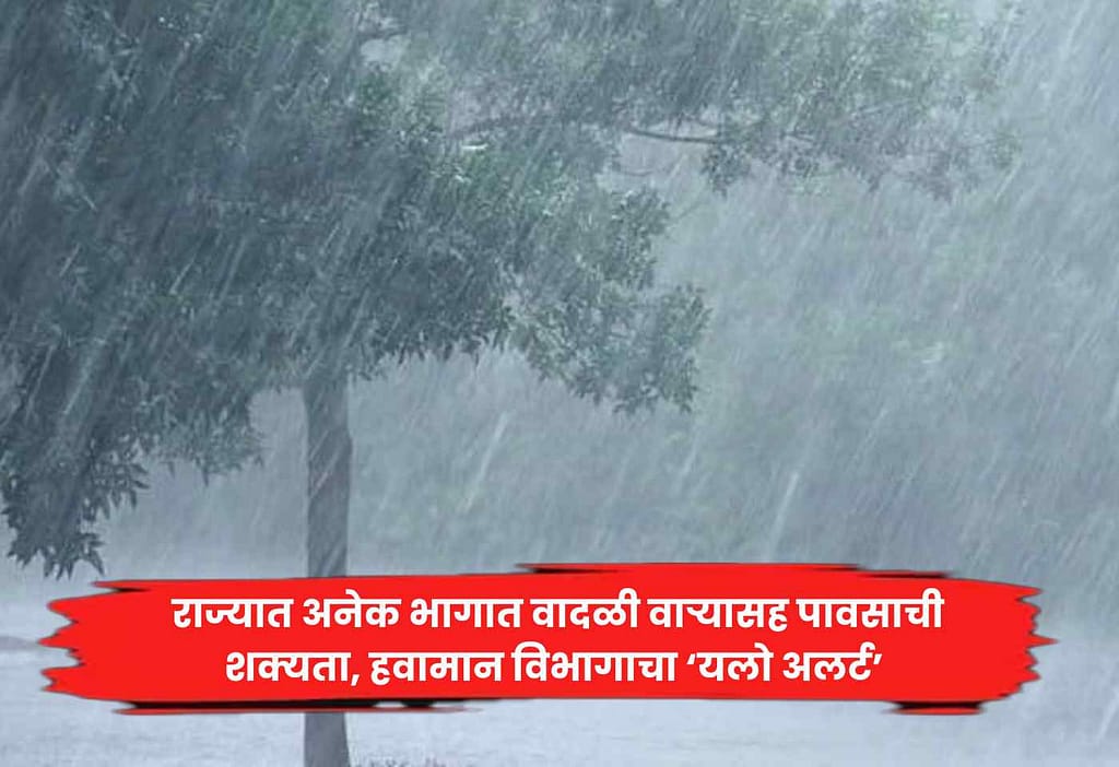 Maharashtra Weather Update: