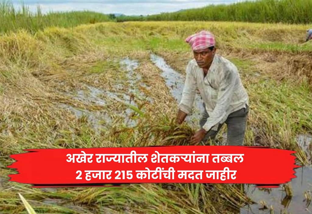 farmers