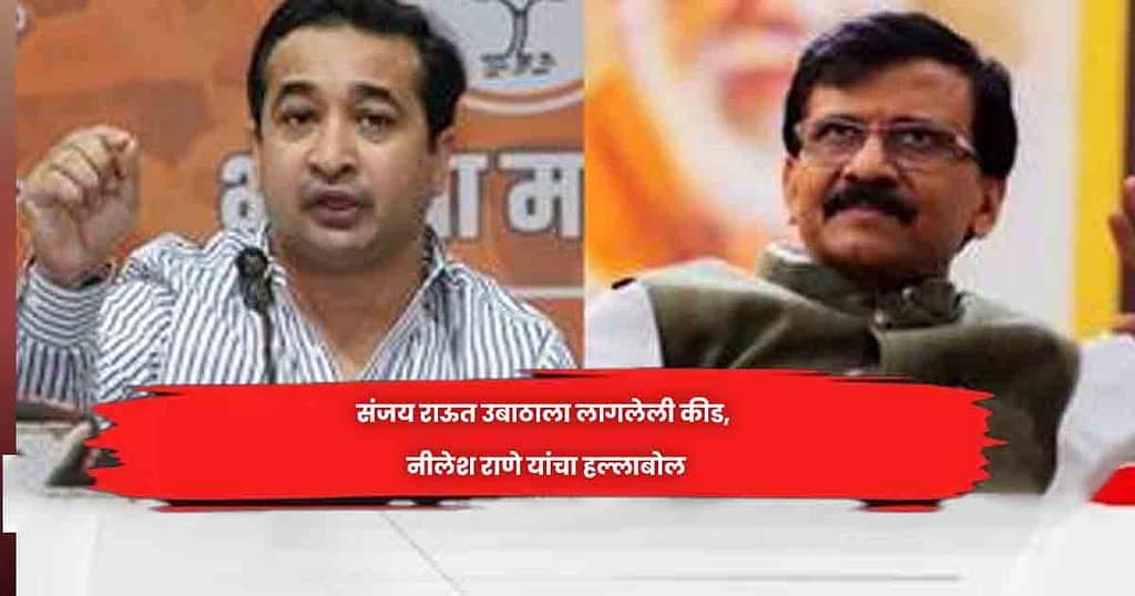संजय राऊत उबाठाला लागलेली कीड, नीलेश राणे यांचा हल्लाबाेल