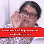 ठाकरे गटाबाबत जे घडले ते पाहून आत्मा हादरला, अंजली दमानिया यांचा संताप